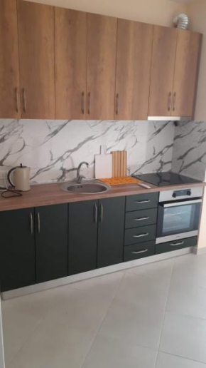Apartments 1+1 Ekaterina/Апартаменты1+1 Екатерина